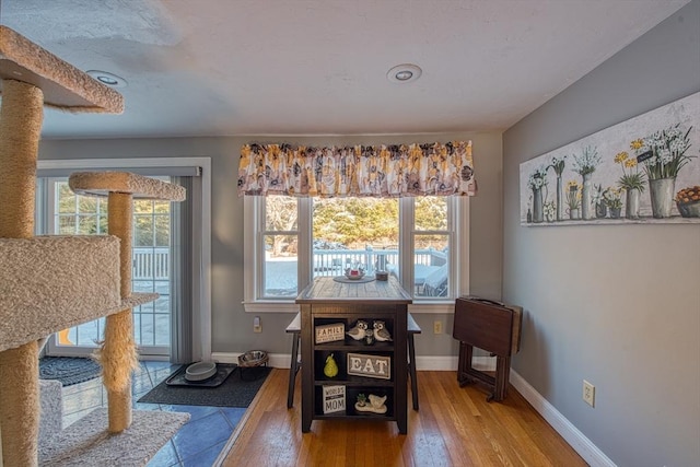 dining space featuring hardwood / wood-style flooring