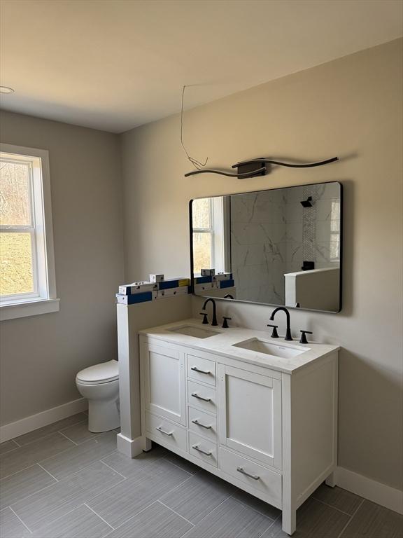 bathroom with double vanity, a wealth of natural light, and a sink