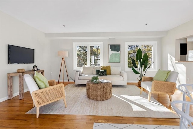 living room with hardwood / wood-style floors and a healthy amount of sunlight