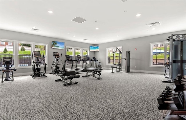 exercise room featuring a wealth of natural light and light colored carpet