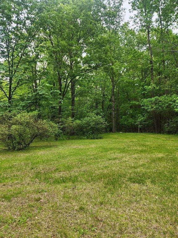 4 Fiske Mill Rd, Upton, MA 01568 - view of yard with a view of trees
