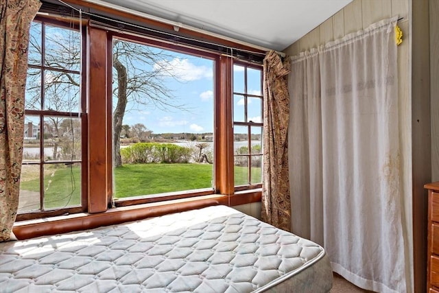 bedroom featuring a water view