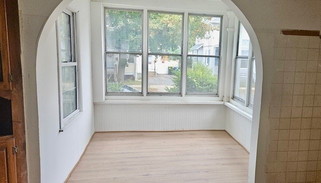 interior space featuring light wood-type flooring, plenty of natural light, and wood walls