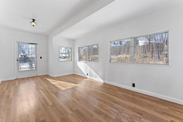 empty room with wood-type flooring