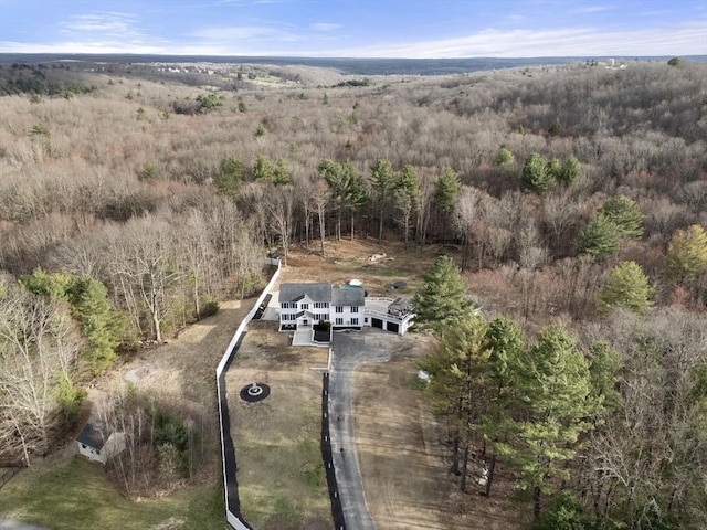 2 Britlees Way, Dudley, MA 01571 - view from above of property with a forest