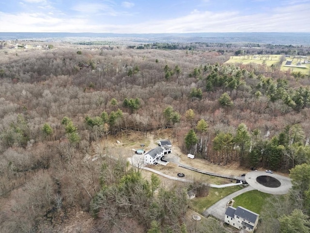 2 Britlees Way, Dudley, MA 01571 - aerial view of property and surrounding area with a forest