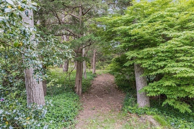 575 Nauset Rd, Eastham, MA 02642 - view of wooded area