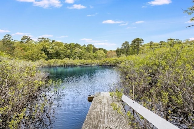 575 Nauset Rd, Eastham, MA 02642 - dock area featuring a water view and a forest view