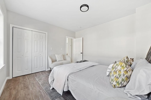 bedroom featuring wood-type flooring and a closet