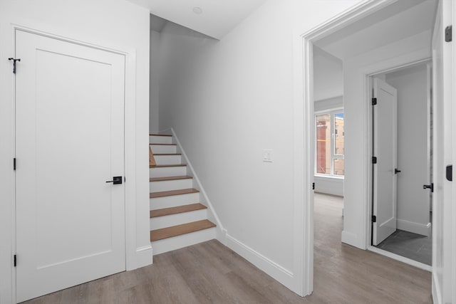 staircase with wood-type flooring