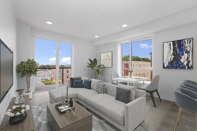 living room featuring hardwood / wood-style flooring