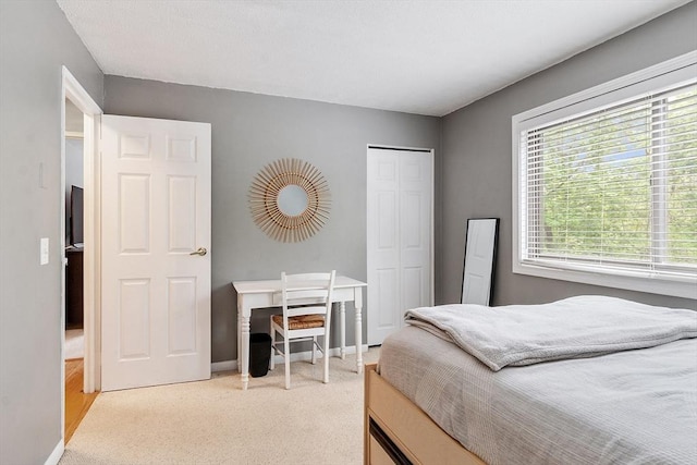 45 Macy St Unit B-205, Amesbury, MA 01913 - bedroom featuring light colored carpet, a closet, and baseboards
