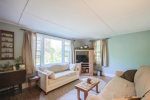living room featuring wood finished floors and baseboards