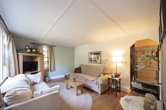 living room with baseboards, wood finished floors, and arched walkways
