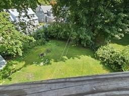 7 Kensington Rd, Worcester, MA 01602 - view of yard