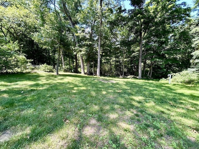 53 Washington St, Topsfield, MA 01983 - view of green lawn