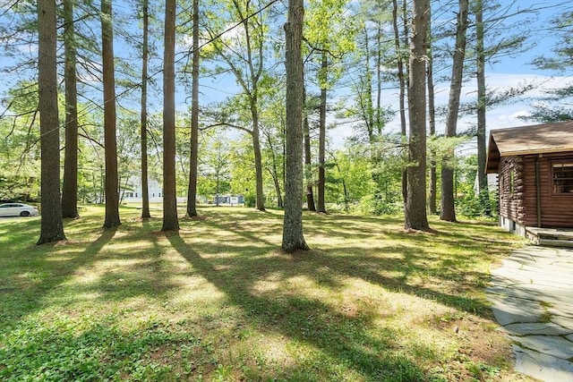 6 N St, Acton, MA 01720 - view of green lawn
