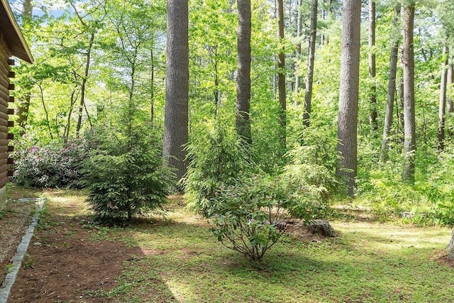 6 N St, Acton, MA 01720 - view of yard with a view of trees