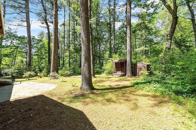 6 N St, Acton, MA 01720 - view of yard with a patio area