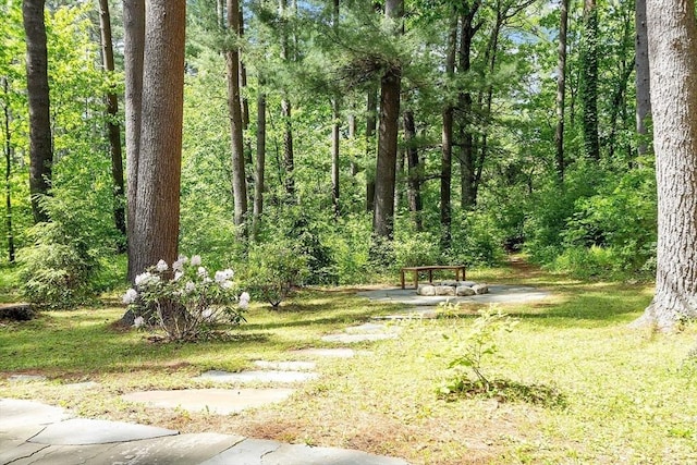 6 N St, Acton, MA 01720 - view of yard with a wooded view