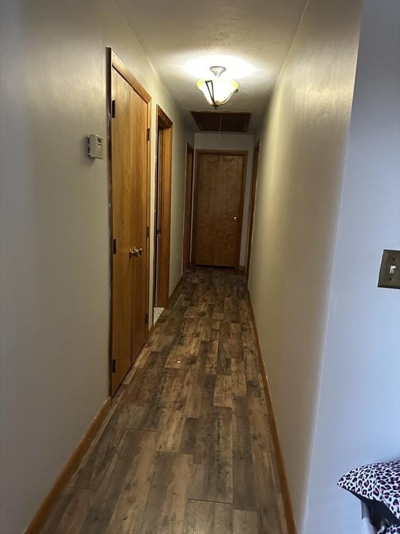 corridor with dark wood-type flooring