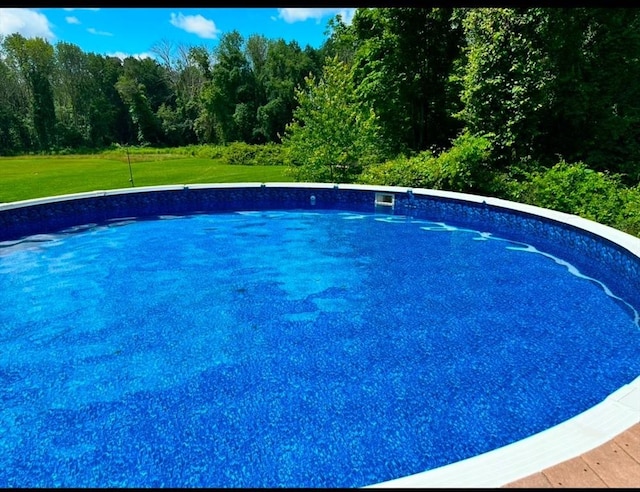 view of swimming pool featuring a lawn