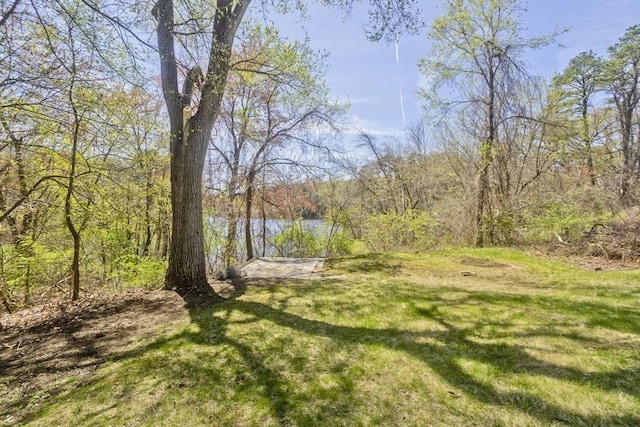 view of yard featuring a water view and a forest view