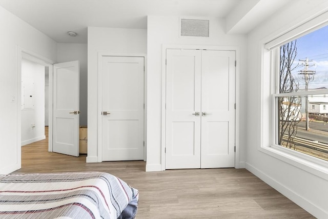 bedroom featuring multiple windows, light hardwood / wood-style flooring, and a closet