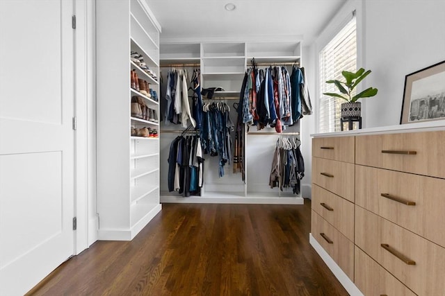 walk in closet with wood finished floors