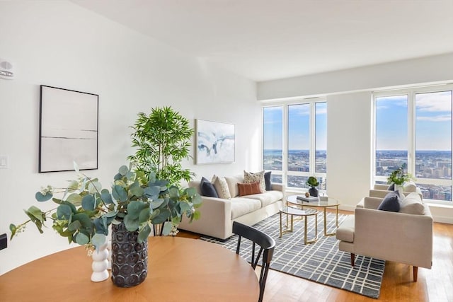 living room featuring plenty of natural light and wood finished floors