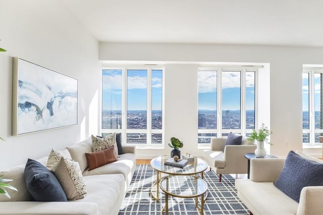 living area featuring a view of city and wood finished floors