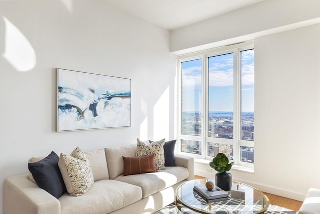 living area featuring baseboards and wood finished floors