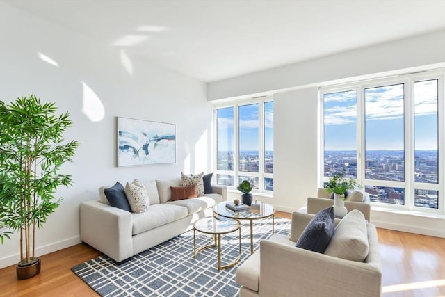 living area featuring baseboards and wood finished floors