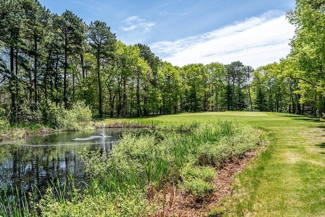 19 Longwood Rd Unit 243, Mashpee, MA 02649 - view of local wilderness with a nearby body of water