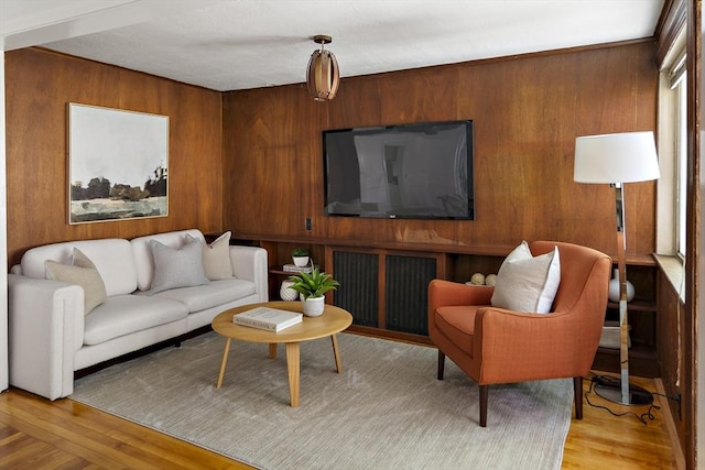 159 Payson Rd, Brookline, MA 02467 - living room featuring wood walls and light wood-type flooring