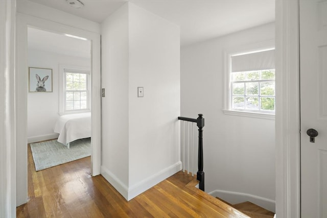 159 Payson Rd, Brookline, MA 02467 - hallway featuring an upstairs landing, healthy amount of natural light, dark wood-type flooring, and baseboards