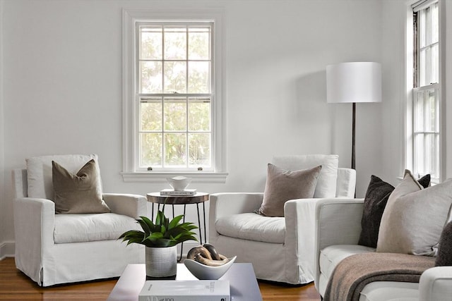 159 Payson Rd, Brookline, MA 02467 - sitting room with plenty of natural light and wood finished floors