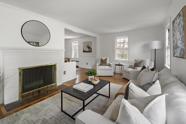 159 Payson Rd, Brookline, MA 02467 - living room featuring radiator heating unit, wood finished floors, crown molding, baseboards, and a fireplace with flush hearth