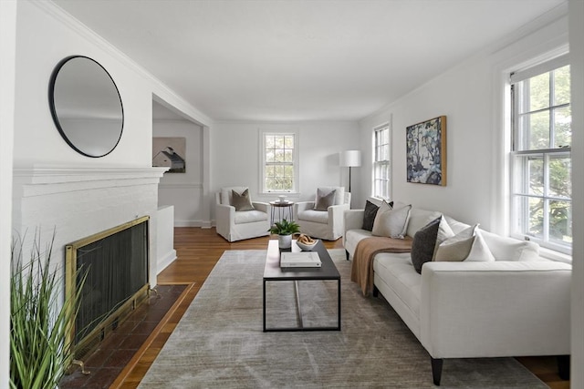 159 Payson Rd, Brookline, MA 02467 - living room with dark wood-type flooring and a fireplace with flush hearth