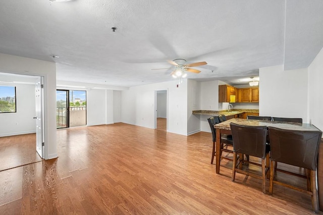 39 Parlin St Unit 503, Everett, MA 02149 - living room featuring light wood-style floors, ceiling fan, and baseboards