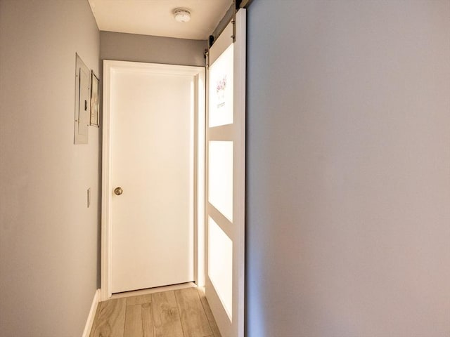 382 Great Rd Unit B 203, Acton, MA 01720 - hallway with baseboards, a barn door, and light wood-type flooring