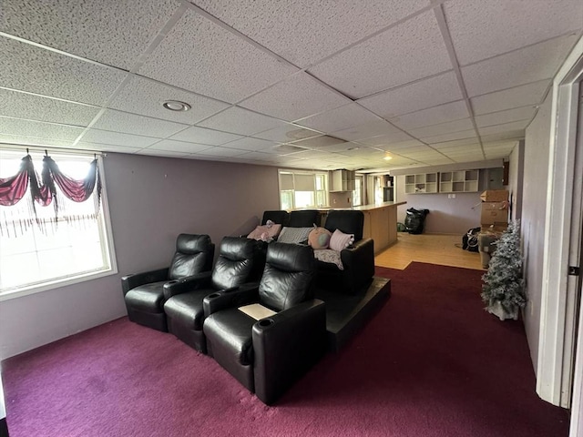 cinema featuring a paneled ceiling, plenty of natural light, and carpet flooring