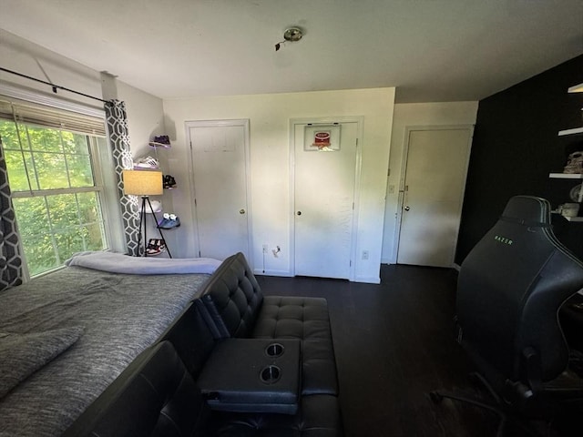 bedroom with dark hardwood / wood-style floors and two closets