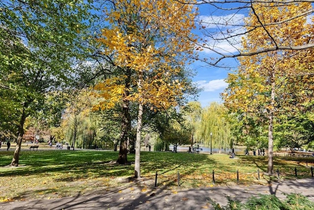 300 Boylston St Unit 517, Boston, MA 02116 - view of community featuring a lawn