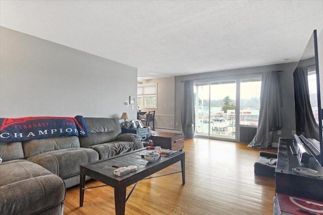 living area featuring a textured ceiling and wood finished floors