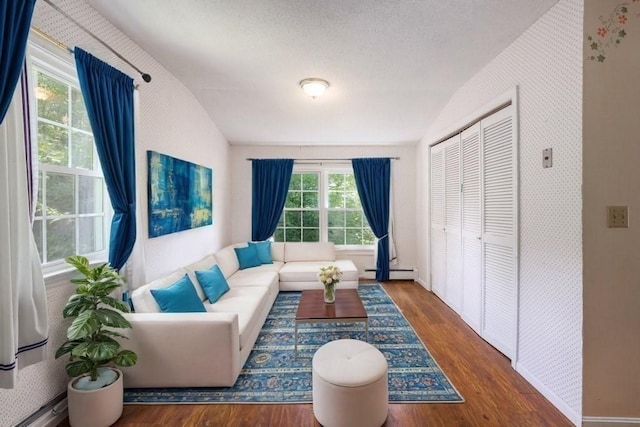 living room with dark hardwood / wood-style floors, baseboard heating, a wealth of natural light, and lofted ceiling