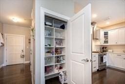 view of pantry