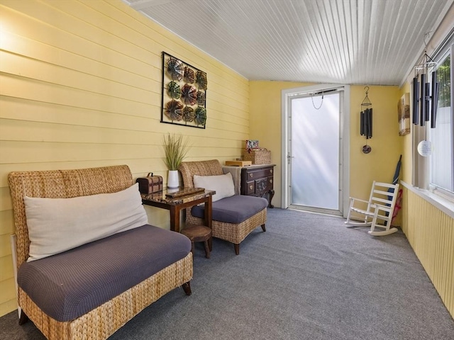 307 Boutelle St, Fitchburg, MA 01420 - living area featuring wood walls and carpet flooring