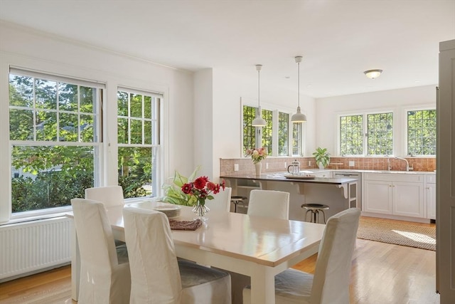 dining area featuring light hardwood / wood-style flooring, a wealth of natural light, and sink