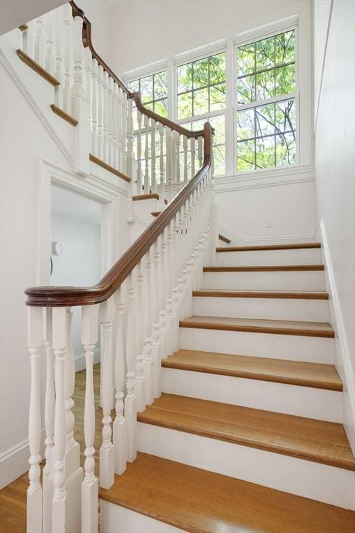 staircase featuring hardwood / wood-style flooring